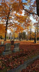 Salem Open Market in October @ Essex St and Derby Square | Salem | Massachusetts | United States